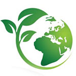 Eco-friendly and sustainable coir products by NB Coir