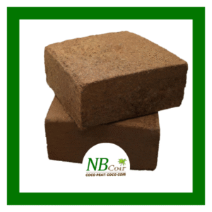 5KG Bricks